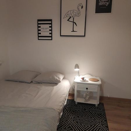 Mieszkanie 4-Pokojowe W Toruniu Przy Umk Esterno foto