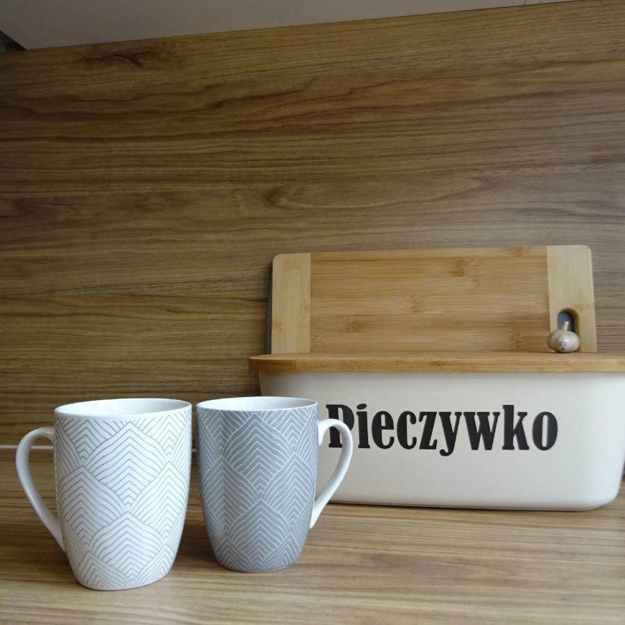 Mieszkanie 4-Pokojowe W Toruniu Przy Umk Esterno foto